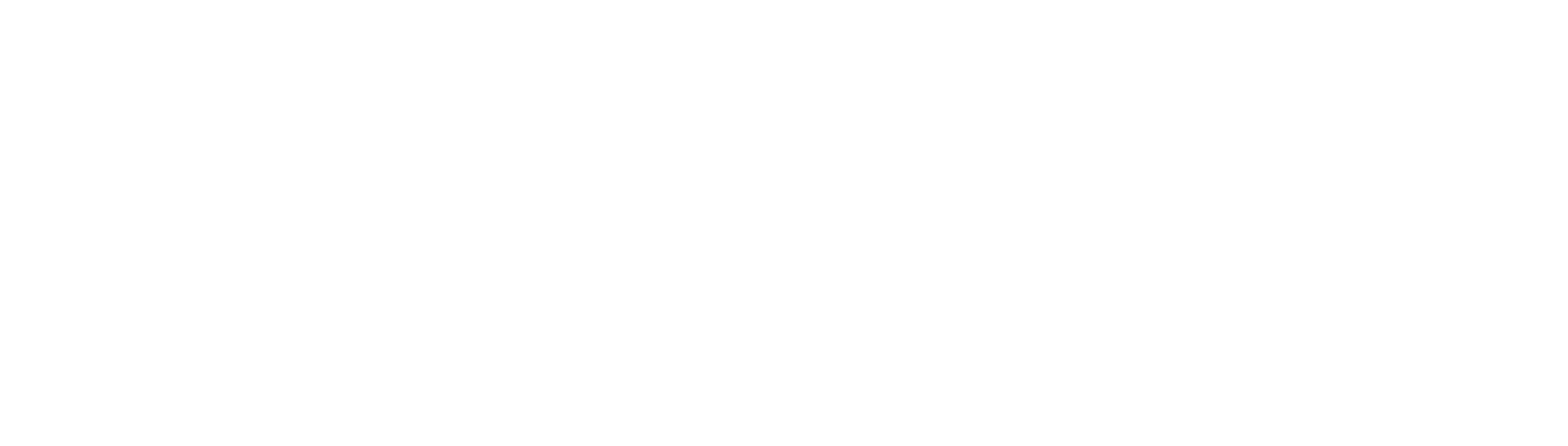 Argos Group 20 Years Logo White