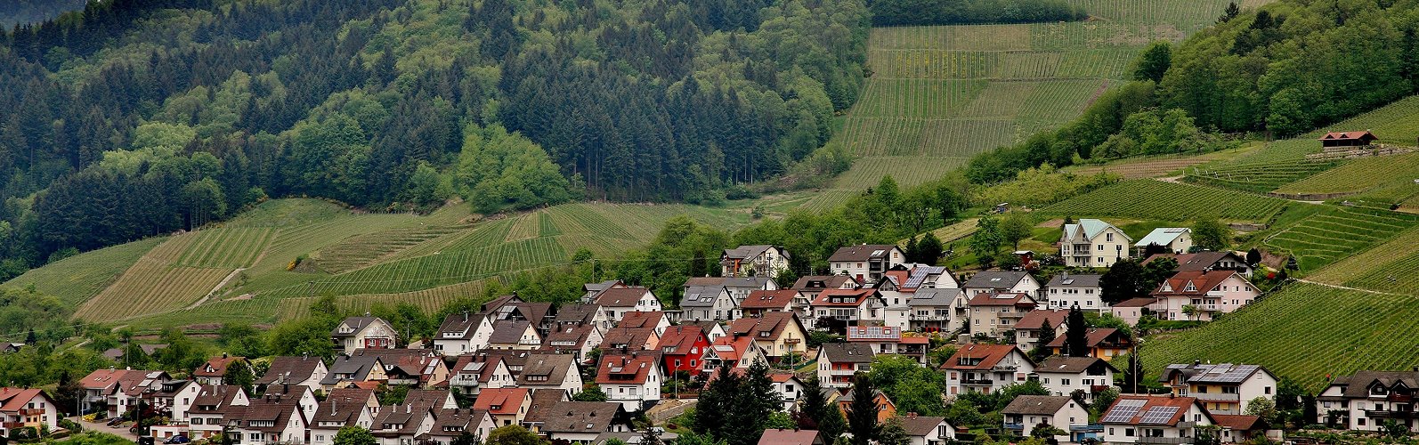 Argos Blog Baisse De L Impot De La Prevoyance Dans Le Canton De Fribourg Bandeau