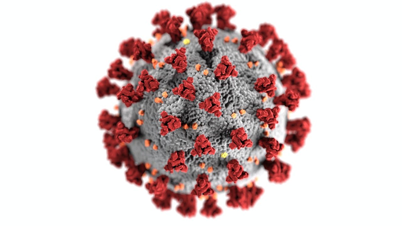 Frequently asked questions about the Coronavirus