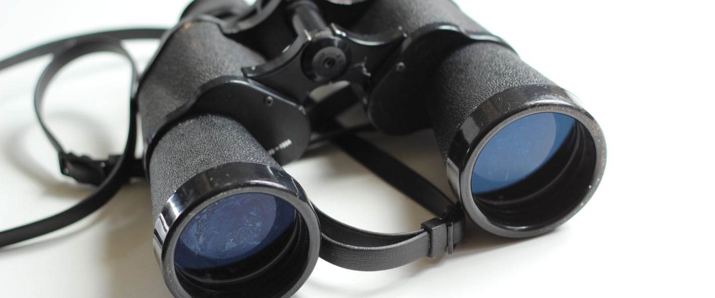 Surveillance des bénéficiaires de prestations